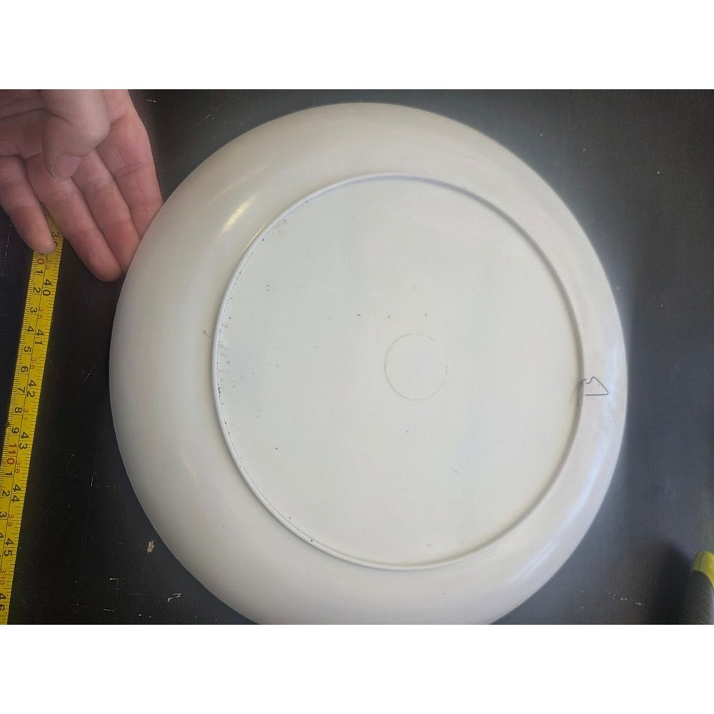 Vintage Milano Duomo di Milano Italy Souvenir Decorative Plate 12 Inch Round - Picture 3 of 4